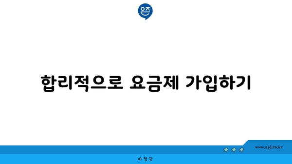 합리적으로 요금제 가입하기