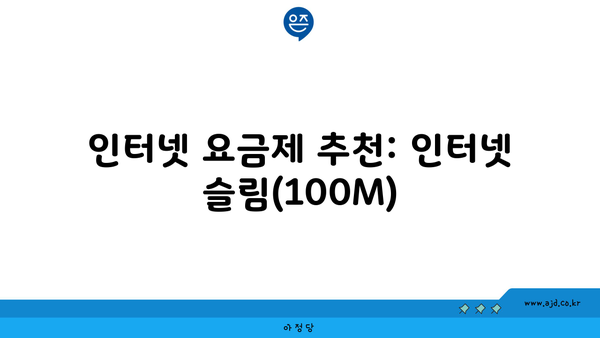 인터넷 요금제 추천: 인터넷 슬림(100M)