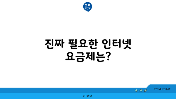 진짜 필요한 인터넷 요금제는?