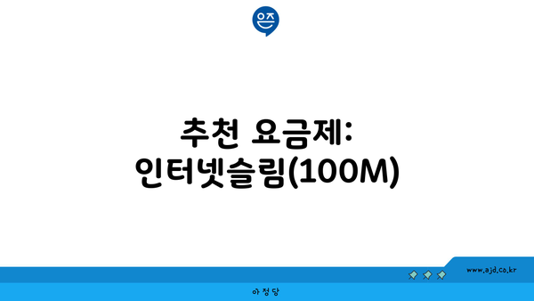 추천 요금제: 인터넷슬림(100M)