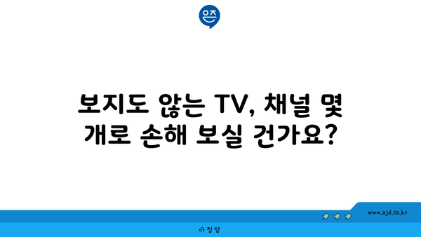 보지도 않는 TV, 채널 몇 개로 손해 보실 건가요? 