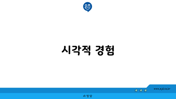 시각적 경험