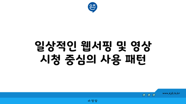 일상적인 웹서핑 및 영상 시청 중심의 사용 패턴