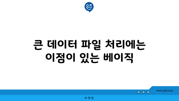 큰 데이터 파일 처리에는 이점이 있는 베이직