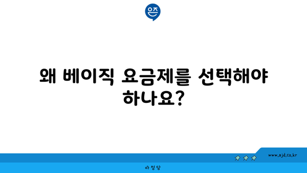 왜 베이직 요금제를 선택해야 하나요?