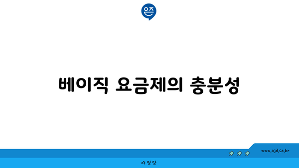 베이직 요금제의 충분성