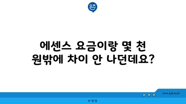 에센스 요금이랑 몇 천 원밖에 차이 안 나던데요?