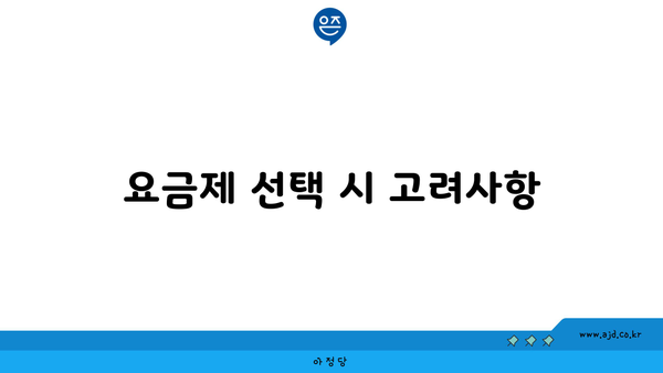 요금제 선택 시 고려사항