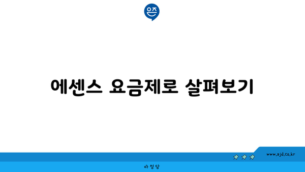 에센스 요금제로 살펴보기