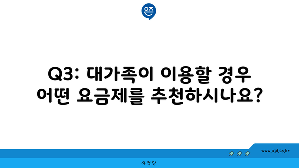 Q3: 대가족이 이용할 경우 어떤 요금제를 추천하시나요?