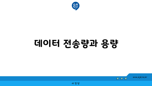 데이터 전송량과 용량