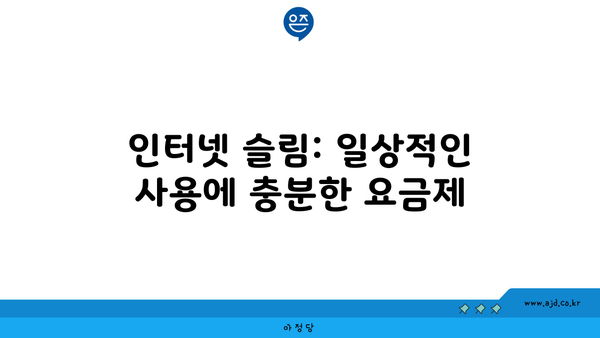 인터넷 슬림: 일상적인 사용에 충분한 요금제