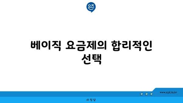 베이직 요금제의 합리적인 선택