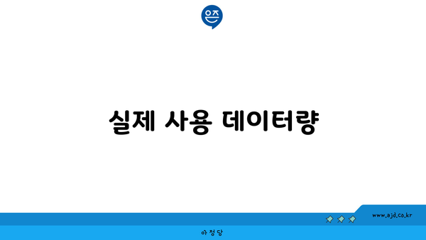 실제 사용 데이터량