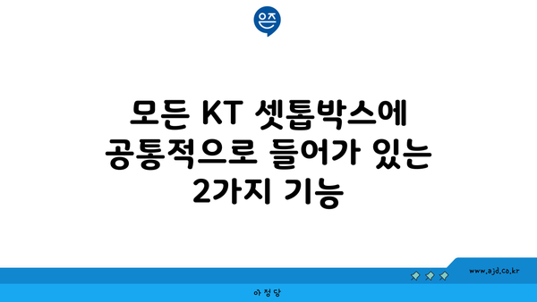 모든 KT 셋톱박스에 공통적으로 들어가 있는 2가지 기능