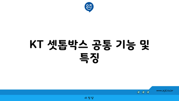 KT 셋톱박스 공통 기능 및 특징