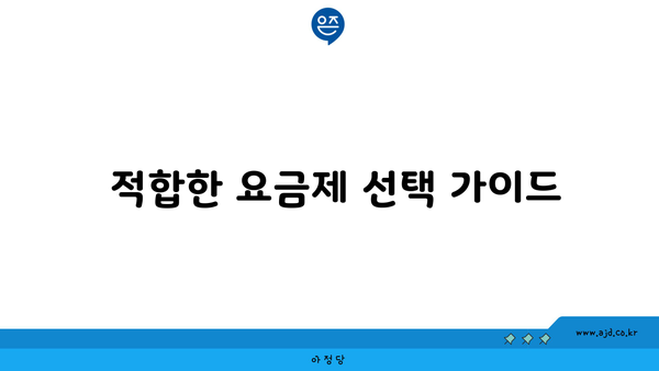  적합한 요금제 선택 가이드