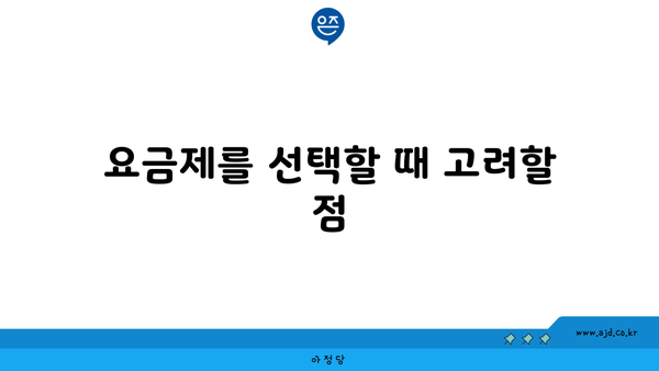 요금제를 선택할 때 고려할 점