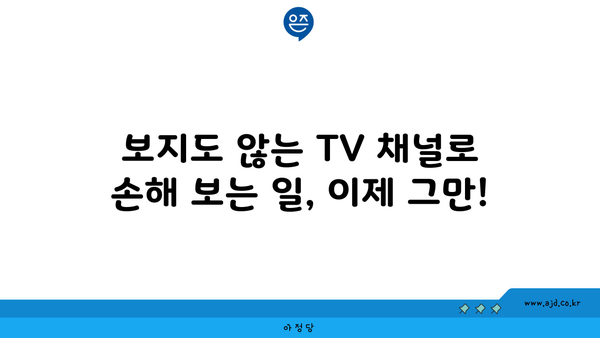 보지도 않는 TV 채널로 손해 보는 일, 이제 그만!