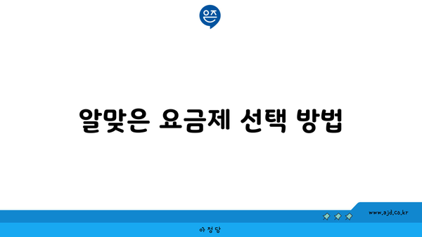 알맞은 요금제 선택 방법