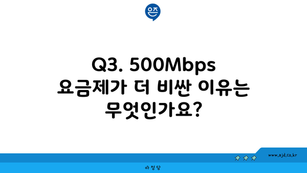 Q3. 500Mbps 요금제가 더 비싼 이유는 무엇인가요?