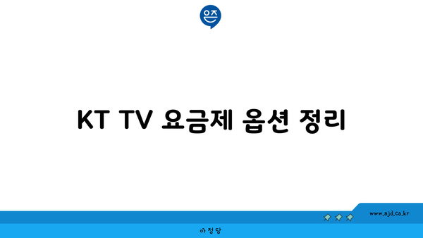 KT TV 요금제 옵션 정리