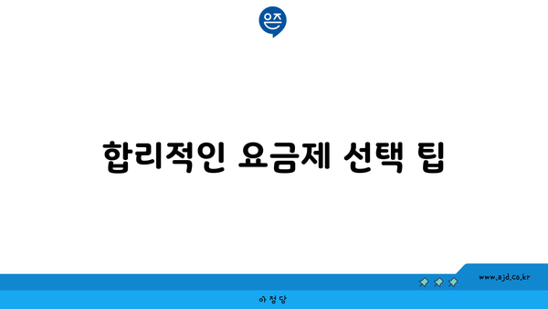 합리적인 요금제 선택 팁