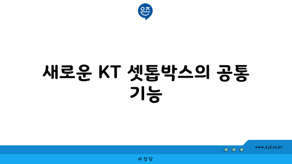 새로운 KT 셋톱박스의 공통 기능