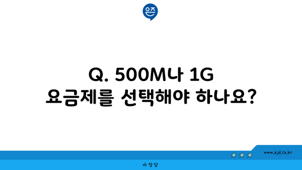 Q. 500M나 1G 요금제를 선택해야 하나요?