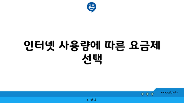 인터넷 사용량에 따른 요금제 선택