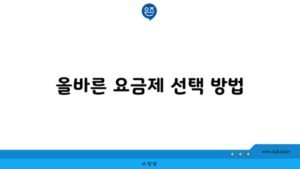 올바른 요금제 선택 방법