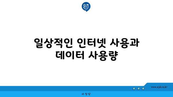 일상적인 인터넷 사용과 데이터 사용량