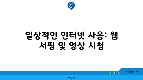 일상적인 인터넷 사용: 웹 서핑 및 영상 시청