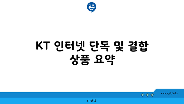 KT 인터넷 단독 및 결합 상품 요약