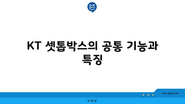 KT 셋톱박스의 공통 기능과 특징