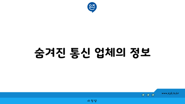 숨겨진 통신 업체의 정보