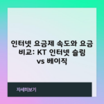 인터넷 요금제 속도와 요금 비교: KT 인터넷 슬림 vs 베이직