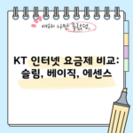 KT 인터넷 요금제 비교: 슬림, 베이직, 에센스