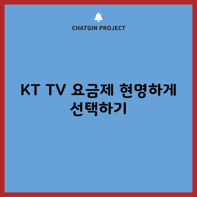 KT TV 요금제 현명하게 선택하기