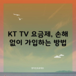 KT TV 요금제, 손해 없이 가입하는 방법