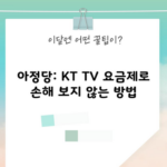 아정당: KT TV 요금제로 손해 보지 않는 방법