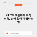 KT TV 요금제의 최적 선택, 손해 없이 가입하는 법