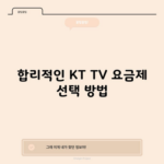 합리적인 KT TV 요금제 선택 방법