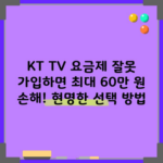 KT TV 요금제 잘못 가입하면 최대 60만 원 손해! 현명한 선택 방법