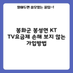 봉화군 봉성면 KT TV요금제 손해 보지 않는 가입방법