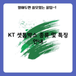 KT 셋톱박스 종류 및 특징 안내