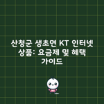 산청군 생초면 KT 인터넷 상품: 요금제 및 혜택 가이드