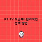 KT TV 요금제: 합리적인 선택 방법