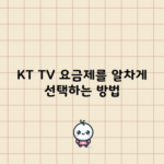 KT TV 요금제를 알차게 선택하는 방법