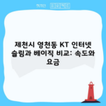 제천시 영천동 KT 인터넷 슬림과 베이직 비교: 속도와 요금